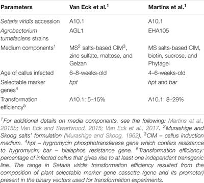 The Status of Setaria viridis Transformation: Agrobacterium-Mediated to Floral Dip